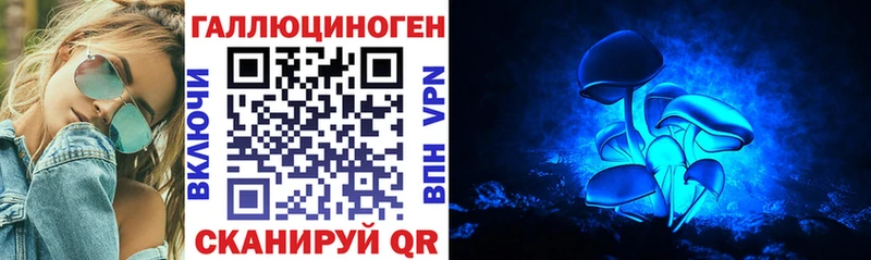 мега как зайти  где найти   Кувшиново  Галлюциногенные грибы Magic Shrooms 